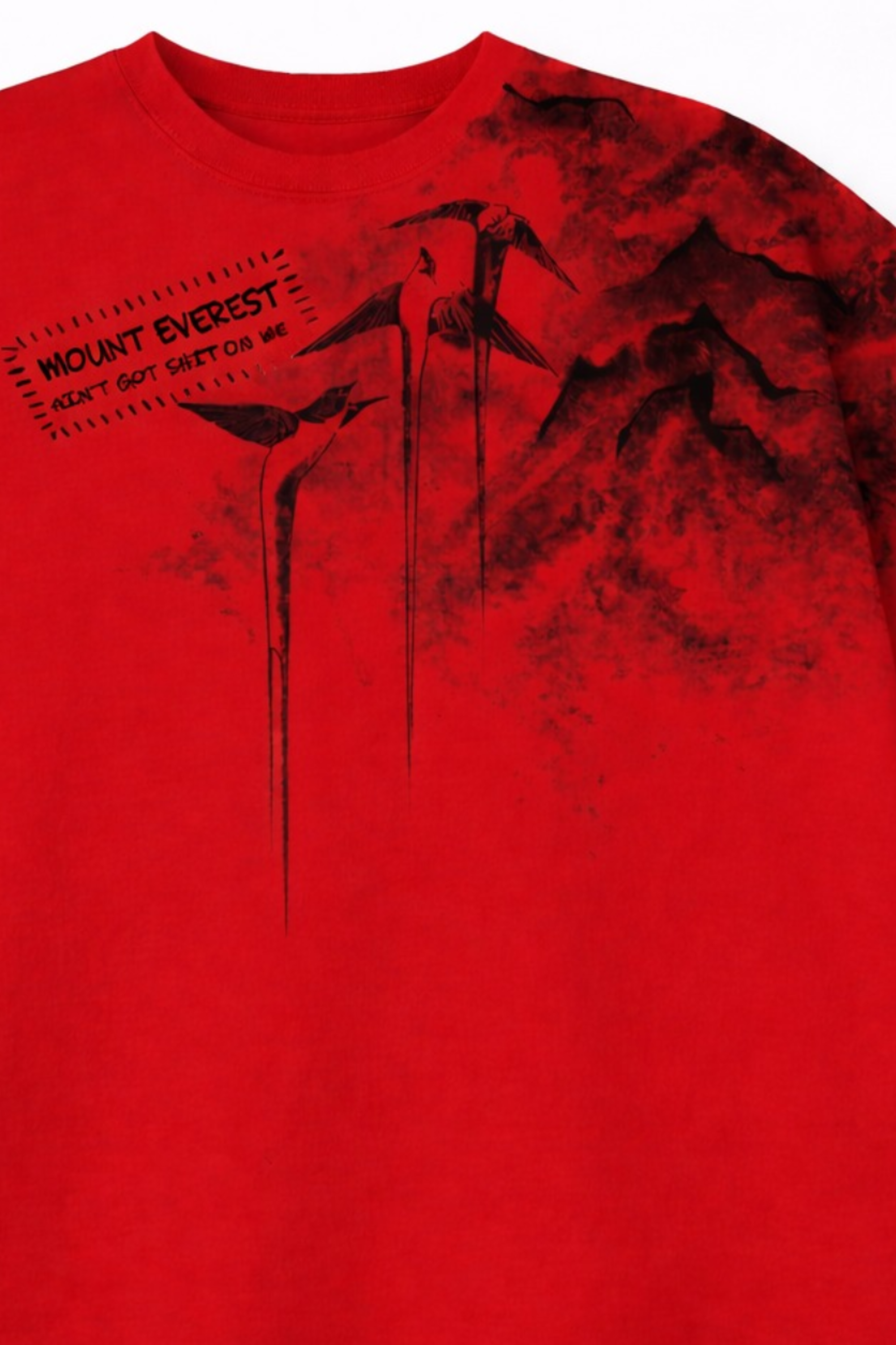 Mount Everest Oversized Tee - WOMEN